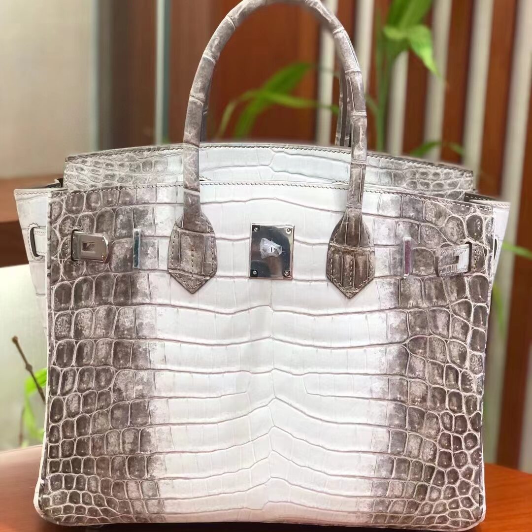 Hermes Birkin Himalayan - ARISEUL